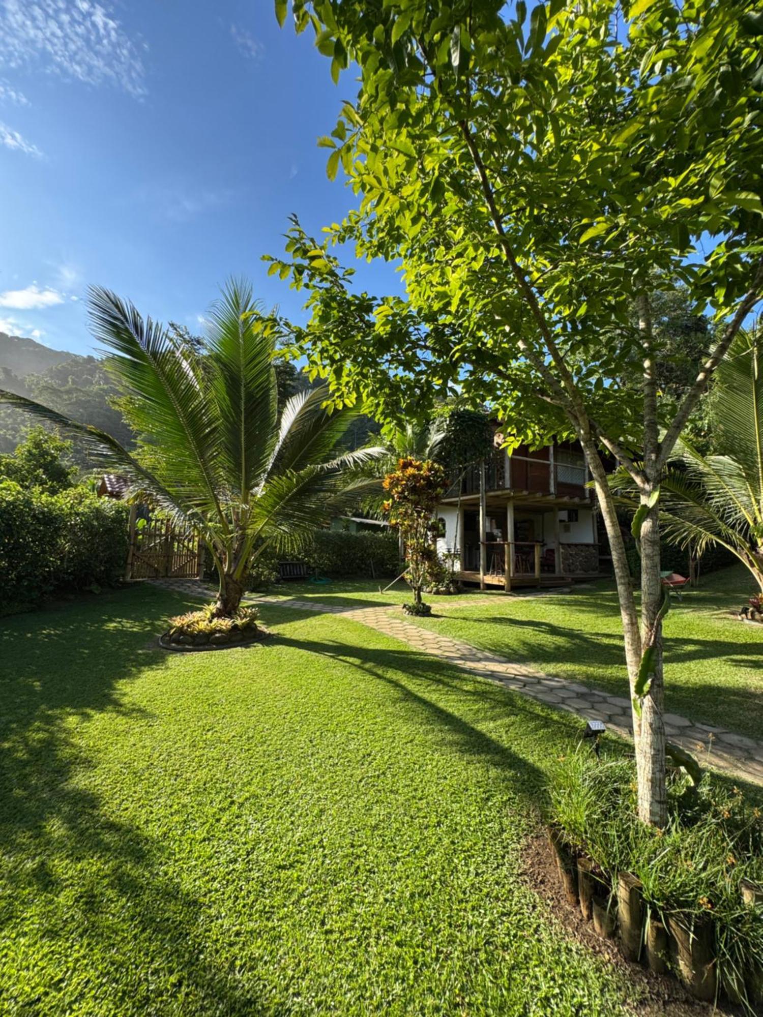 Flora Do Sono & Trekking Paraty