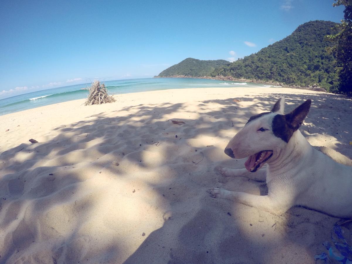 Flora Do Sono & Trekking